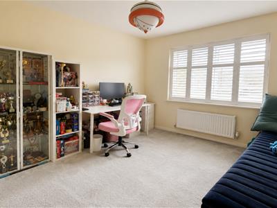 Picture 11
